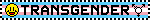 A blinkie with the trans flag as the background. Black text is overlaid that reads Transgender.